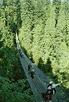Capilano Suspension Bridge