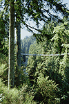 Capilano Suspension Bridge